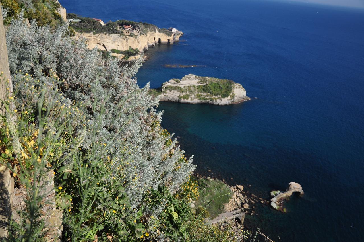 Residenza Le Rose Villa D'Arte Napoli Bagian luar foto